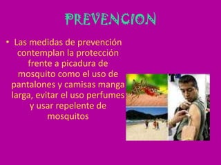 PREVENCIONLas medidas de prevención contemplan la protección frente a picadura de mosquito como el uso de pantalones y camisas manga larga, evitar el uso perfumes y usar repelente de mosquitos 