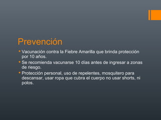 Prevención
 Vacunación contra la Fiebre Amarilla que brinda protección
  por 10 años.
 Se recomienda vacunarse 10 días antes de ingresar a zonas
  de riesgo.
 Protección personal, uso de repelentes, mosquitero para
  descansar, usar ropa que cubra el cuerpo no usar shorts, ni
  polos.
 