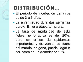  El periodo de incubación del virus
es de 3 a 6 días.
 La enfermedad dura dos semanas
aprox. En una etapa temprana.
 La tasa de mortalidad de esta
fiebre hemorrágica es del 20%,
pero en casos de epidemias
importantes y de zonas de fuera
del mundo indígena, puede llegar a
ser hasta de un demoledor 50%.
DISTRIBUCIÓN…
 