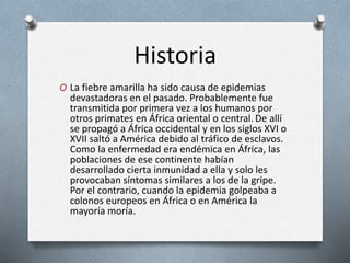 Historia 
O La fiebre amarilla ha sido causa de epidemias 
devastadoras en el pasado. Probablemente fue 
transmitida por primera vez a los humanos por 
otros primates en África oriental o central. De allí 
se propagó a África occidental y en los siglos XVI o 
XVII saltó a América debido al tráfico de esclavos. 
Como la enfermedad era endémica en África, las 
poblaciones de ese continente habían 
desarrollado cierta inmunidad a ella y solo les 
provocaban síntomas similares a los de la gripe. 
Por el contrario, cuando la epidemia golpeaba a 
colonos europeos en África o en América la 
mayoría moría. 
 
