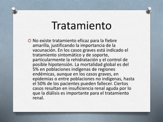 Tratamiento 
O No existe tratamiento eficaz para la fiebre 
amarilla, justificando la importancia de la 
vacunación. En los casos graves está indicado el 
tratamiento sintomático y de soporte, 
particularmente la rehidratación y el control de 
posible hipotensión. La mortalidad global es del 
5% en poblaciones indígenas de regiones 
endémicas, aunque en los casos graves, en 
epidemias o entre poblaciones no indígenas, hasta 
el 50% de los pacientes pueden fallecer. Ciertos 
casos resultan en insuficiencia renal aguda por lo 
que la diálisis es importante para el tratamiento 
renal. 
 