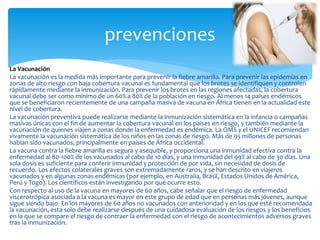 La Vacunación
La vacunación es la medida más importante para prevenir la fiebre amarilla. Para prevenir las epidemias en
zonas de alto riesgo con baja cobertura vacunal es fundamental que los brotes se identifiquen y controlen
rápidamente mediante la inmunización. Para prevenir los brotes en las regiones afectadas, la cobertura
vacunal debe ser como mínimo de un 60% a 80% de la población en riesgo. Al menos 14 países endémicos
que se beneficiaron recientemente de una campaña masiva de vacuna en África tienen en la actualidad este
nivel de cobertura.
La vacunación preventiva puede realizarse mediante la inmunización sistemática en la infancia o campañas
masivas únicas con el fin de aumentar la cobertura vacunal en los países en riesgo, y también mediante la
vacunación de quienes viajen a zonas donde la enfermedad es endémica. La OMS y el UNICEF recomiendan
vivamente la vacunación sistemática de los niños en las zonas de riesgo. Más de 95 millones de personas
habían sido vacunados, principalmente en países de África occidental.
La vacuna contra la fiebre amarilla es segura y asequible, y proporciona una inmunidad efectiva contra la
enfermedad al 80-100% de los vacunados al cabo de 10 días, y una inmunidad del 99% al cabo de 30 días. Una
sola dosis es suficiente para conferir inmunidad y protección de por vida, sin necesidad de dosis de
recuerdo. Los efectos colaterales graves son extremadamente raros, y se han descrito en viajeros
vacunados y en algunas zonas endémicas (por ejemplo, en Australia, Brasil, Estados Unidos de América,
Perú y Togo). Los científicos están investigando por qué ocurre esto.
Con respecto al uso de la vacuna en mayores de 60 años, cabe señalar que el riesgo de enfermedad
viscerotrópica asociada a la vacuna es mayor en este grupo de edad que en personas más jóvenes, aunque
sigue siendo bajo. En los mayores de 60 años no vacunados con anterioridad y en los que esté recomendada
la vacunación, esta solo debe realizarse después de una cuidadosa evaluación de los riesgos y los beneficios
en la que se compare el riesgo de contraer la enfermedad con el riesgo de acontecimientos adversos graves
tras la inmunización.
prevenciones
 