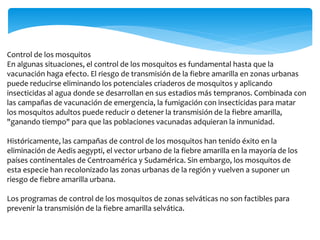 Control de los mosquitos
En algunas situaciones, el control de los mosquitos es fundamental hasta que la
vacunación haga efecto. El riesgo de transmisión de la fiebre amarilla en zonas urbanas
puede reducirse eliminando los potenciales criaderos de mosquitos y aplicando
insecticidas al agua donde se desarrollan en sus estadios más tempranos. Combinada con
las campañas de vacunación de emergencia, la fumigación con insecticidas para matar
los mosquitos adultos puede reducir o detener la transmisión de la fiebre amarilla,
"ganando tiempo" para que las poblaciones vacunadas adquieran la inmunidad.
Históricamente, las campañas de control de los mosquitos han tenido éxito en la
eliminación de Aedis aegypti, el vector urbano de la fiebre amarilla en la mayoría de los
países continentales de Centroamérica y Sudamérica. Sin embargo, los mosquitos de
esta especie han recolonizado las zonas urbanas de la región y vuelven a suponer un
riesgo de fiebre amarilla urbana.
Los programas de control de los mosquitos de zonas selváticas no son factibles para
prevenir la transmisión de la fiebre amarilla selvática.
 