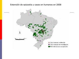 Extensión de epizootia y casos en humanos en 2008 