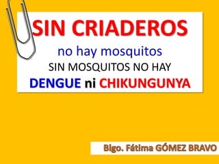 SIN CRIADEROS
no hay mosquitos
SIN MOSQUITOS NO HAY
DENGUE ni CHIKUNGUNYA
 