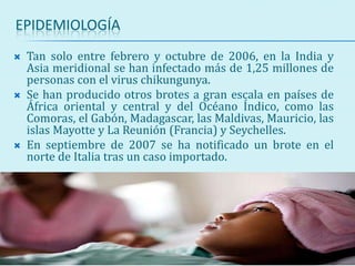 EPIDEMIOLOGÍA
 Tan solo entre febrero y octubre de 2006, en la India y
Asia meridional se han infectado más de 1,25 millones de
personas con el virus chikungunya.
 Se han producido otros brotes a gran escala en países de
África oriental y central y del Océano Índico, como las
Comoras, el Gabón, Madagascar, las Maldivas, Mauricio, las
islas Mayotte y La Reunión (Francia) y Seychelles.
 En septiembre de 2007 se ha notificado un brote en el
norte de Italia tras un caso importado.
 