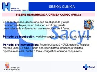 SESIÓN CLÍNICA
FIEBRE HEMORRAGICA CRIMEA-CONGO (FHCC)FIEBRE HEMORRAGICA CRIMEA-CONGO (FHCC)
En el ser humano, al contrario que en el ganado y otros
mamíferos salvajes, es un huésped en el que puede
desarrollarse la enfermedad, que evoluciona en 4 fases:
Periodo de incubaciónPeriodo de incubación: variable según carga viral y vía de exposición
Periodo pre-hemorrágicoPeriodo pre-hemorrágico: fiebre brusca (39-40ºC), cefalea, mialgias,
mareos unos 4-5 días. Puede aparecer diarrea, naúseas o vómitos,
hiperemia en cara, cuello o tórax, congestión ocular o conjuntivitis
 
