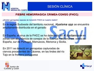 SESIÓN CLÍNICA
¿Existen garrapatas capaces de transmitir FHCC en nuestro medio?
FIEBRE HEMORRAGICA CRIMEA-CONGO (FHCC)FIEBRE HEMORRAGICA CRIMEA-CONGO (FHCC)
En la región Sudoeste del territorio nacional, Hyaloma spp se encuentra
ampliamente distribuida en el ganado
En España, el virus de la FHCC se ha detectado en H lusitanicum en
zonas con abundancia de conejos de la cuenca mediterránea: oeste de
España, sur de Portugal, Marruecos, Menorca y Sicilia.
En 2011 se detectó en garrapatas capturadas de
ciervos procedentes de Cáceres, en las lindes del río
Tajo en la frontera portuguesa
 