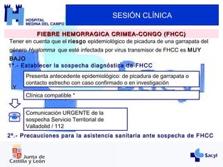 SESIÓN CLÍNICA
Tener en cuenta que el riesgo epidemiológico de picadura de una garrapata del
género Hyalomma que esté infectada por virus transmisor de FHCC es MUY
BAJO
FIEBRE HEMORRAGICA CRIMEA-CONGO (FHCC)FIEBRE HEMORRAGICA CRIMEA-CONGO (FHCC)
1º.- Establecer la sospecha diagnóstica de FHCC
Presenta antecedente epidemiológico: de picadura de garrapata o
contacto estrecho con caso confirmado o en investigación
Y
Clínica compatible *
Comunicación URGENTE de la
sospecha Servicio Territorial de
Valladolid / 112
2º.- Precauciones para la asistencia sanitaria ante sospecha de FHCC
 