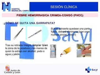 SESIÓN CLÍNICA
FIEBRE HEMORRAGICA CRIMEA-CONGO (FHCC)FIEBRE HEMORRAGICA CRIMEA-CONGO (FHCC)
¿CÓMO SE QUITA UNA GARRAPATA?
Si tras extraerla quedase una parte
fijada, deberá eliminarse (con unas
nuevas pinzas, bisturí)
Tras su retirada íntegra, limpiar bien
la zona de la picadura y las manos de
quien la extrajo con alcohol, yodo o
agua y jabón.
 