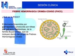 SESIÓN CLÍNICA
¿Qué es la FHCC?
FIEBRE HEMORRAGICA CRIMEA-CONGO (FHCC)FIEBRE HEMORRAGICA CRIMEA-CONGO (FHCC)
Enfermedad trasmitida por
garrapatas y producida por virus
del género Nairovirus, de la
familia Buyanviridae, que se
incluyen dentro del grupo de Fiebres
Hemorrágicas Virales
 