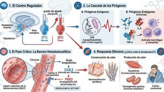 Comprehensive Clinical Approach to Fever of Unknown Origin (FOD ...