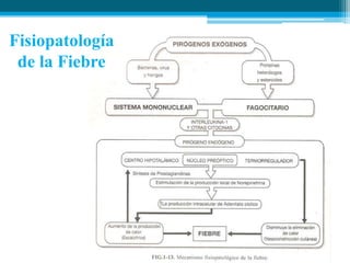 Fisiopatología
de la Fiebre

 