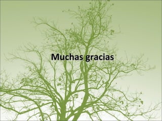 Muchas gracias 