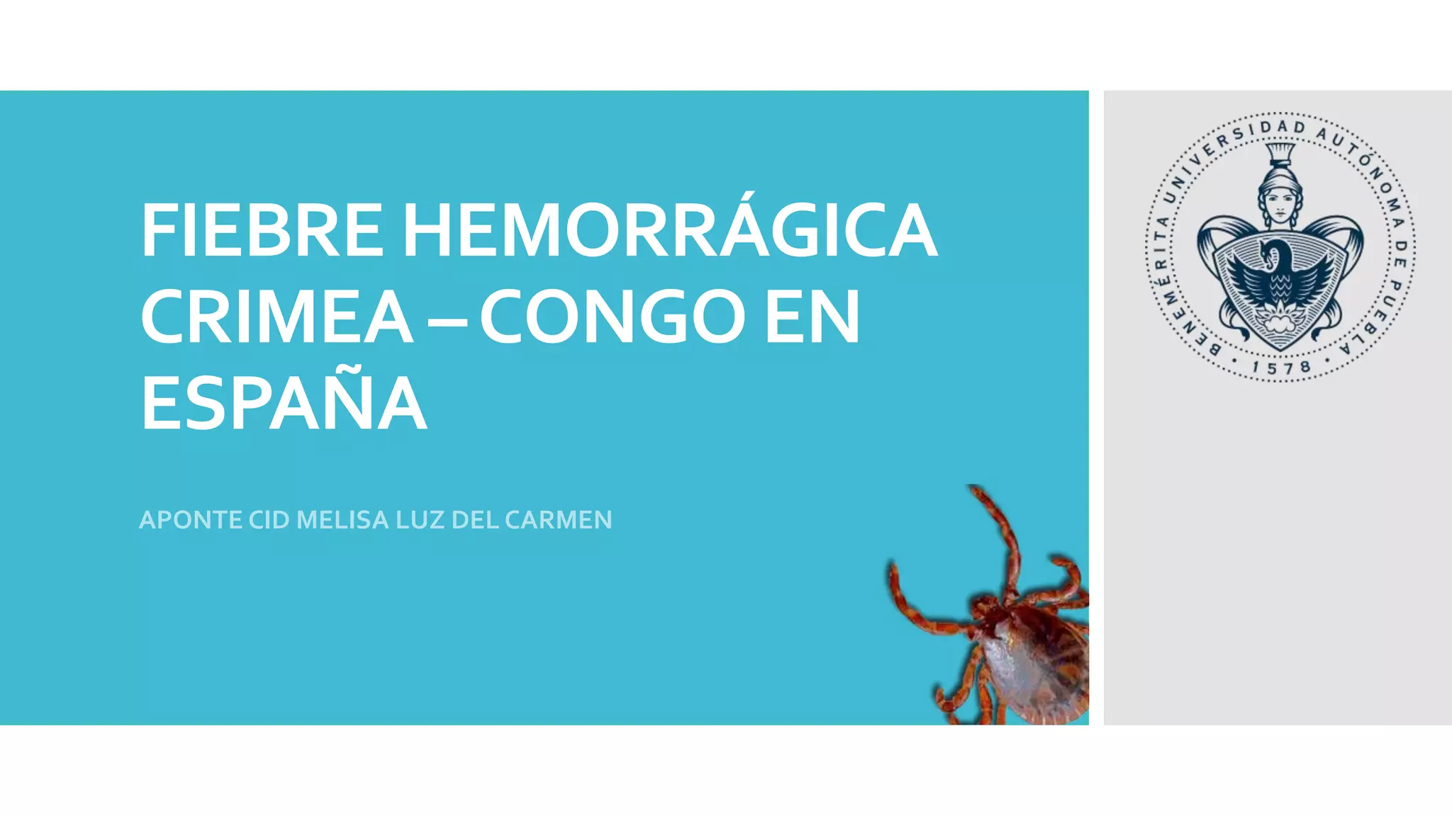 FIEBRE HEMORR GICA DE CRIMEA CONGO QUE ES visual data 7