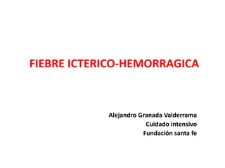 FIEBRE ICTERICO-HEMORRAGICA
Alejandro Granada Valderrama
Cuidado intensivo
Fundación santa fe
 