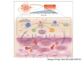 Dengue N Engl J Med 2012;366:1423-32
 