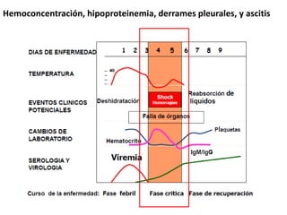 Hemoconcentración, hipoproteinemia, derrames pleurales, y ascitis
 