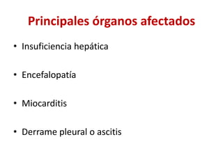 Principales órganos afectados
• Insuficiencia hepática
• Encefalopatía
• Miocarditis
• Derrame pleural o ascitis
 