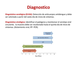 Diagnostico
Diagnóstico serológico (ELISA): Detección de anticuerpos antidengue y debe
ser solicitada a partir del sexto día de inicio de síntomas.
Diagnóstico virológico: Identificar el patógeno y monitorear el serotipo viral
circulante. la muestra debe ser recolectada hasta el quinto día de inicio de
síntomas. (Aislamiento viral, RT- PCR).
 