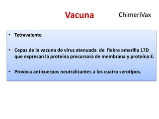 Vacuna
• Tetravalente
• Cepas de la vacuna de virus atenuada de fiebre amarilla 17D
que expresan la proteína precursora de membrana y proteína E.
• Provoca anticuerpos neutralizantes a los cuatro serotipos.
ChimeriVax
 