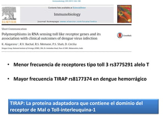 • Menor frecuencia de receptores tipo toll 3 rs3775291 alelo T
• Mayor frecuencia TIRAP rs8177374 en dengue hemorrágico
TIRAP: La proteína adaptadora que contiene el dominio del
receptor de Mal o Toll-interleuquina-1
 