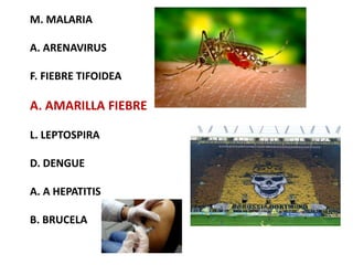 M. MALARIA
A. ARENAVIRUS
F. FIEBRE TIFOIDEA
A. AMARILLA FIEBRE
L. LEPTOSPIRA
D. DENGUE
A. A HEPATITIS
B. BRUCELA
 