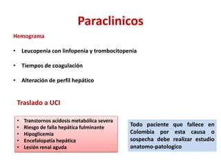 Paraclinicos
Hemograma
• Leucopenia con linfopenia y trombocitopenia
• Tiempos de coagulación
• Alteración de perfil hepático
• Transtornos acidosis metabólica severa
• Riesgo de falla hepática fulminante
• Hipoglicemia
• Encefalopatía hepática
• Lesión renal aguda
Traslado a UCI
Todo paciente que fallece en
Colombia por esta causa o
sospecha debe realizar estudio
anatomo-patologico
 