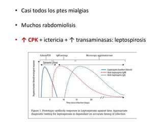 • Casi todos los ptes mialgias
• Muchos rabdomiolisis
• ↑ CPK + ictericia + ↑ transaminasas: leptospirosis
 
