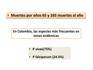 • Muertes por años 65 y 165 muertes al año
En Colombia, las especies más frecuentes en
zonas endémicas
• P vivax(75%)
• P falciparum (24.5%)
 