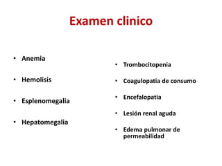 Examen clinico
• Anemia
• Hemolisis
• Esplenomegalia
• Hepatomegalia
• Trombocitopenia
• Coagulopatia de consumo
• Encefalopatia
• Lesión renal aguda
• Edema pulmonar de
permeabilidad
 