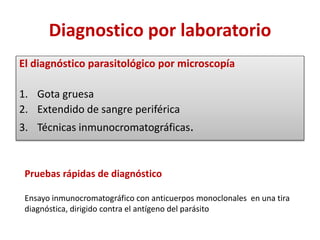 Diagnostico por laboratorio
El diagnóstico parasitológico por microscopía
1. Gota gruesa
2. Extendido de sangre periférica
3. Técnicas inmunocromatográficas.
Pruebas rápidas de diagnóstico
Ensayo inmunocromatográfico con anticuerpos monoclonales en una tira
diagnóstica, dirigido contra el antígeno del parásito
 