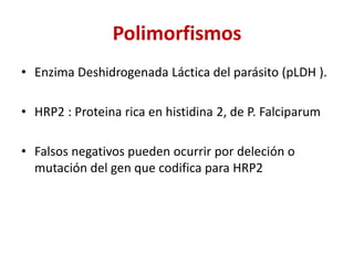 Polimorfismos
• Enzima Deshidrogenada Láctica del parásito (pLDH ).
• HRP2 : Proteina rica en histidina 2, de P. Falciparum
• Falsos negativos pueden ocurrir por deleción o
mutación del gen que codifica para HRP2
 