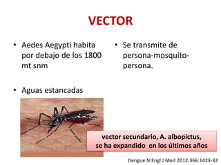 VECTOR
• Aedes Aegypti habita
por debajo de los 1800
mt snm
• Aguas estancadas
• Se transmite de
persona-mosquito-
persona.
Dengue N Engl J Med 2012;366:1423-32
vector secundario, A. albopictus,
se ha expandido en los últimos años
 