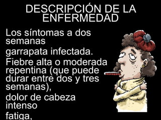 DESCRIPCIÓN DE LA
ENFERMEDAD
Los síntomas a dos
semanas
garrapata infectada.
Fiebre alta o moderada
repentina (que puede
durar entre dos y tres
semanas),
dolor de cabeza
intenso
fatiga,
 