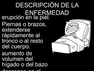DESCRIPCIÓN DE LA
ENFERMEDAD
erupción en la piel.
Piernas o brazos,
extenderse
rápidamente al
tronco o al resto
del cuerpo.
aumento de
volumen del
hígado o del bazo
 
