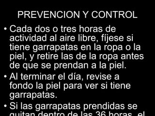 PREVENCION Y CONTROL
• Cada dos o tres horas de
actividad al aire libre, fíjese si
tiene garrapatas en la ropa o la
piel, y retire las de la ropa antes
de que se prendan a la piel.
• Al terminar el día, revise a
fondo la piel para ver si tiene
garrapatas.
• Si las garrapatas prendidas se
 