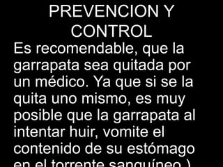 PREVENCION Y
CONTROL
Es recomendable, que la
garrapata sea quitada por
un médico. Ya que si se la
quita uno mismo, es muy
posible que la garrapata al
intentar huir, vomite el
contenido de su estómago
 