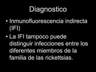 Diagnostico
• Inmunofluorescencia indirecta
(IFI)
• La IFI tampoco puede
distinguir infecciones entre los
diferentes miembros de la
familia de las rickettsias.
 