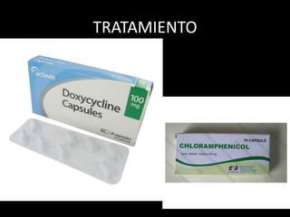 TRATAMIENTO
 