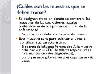 ¿Cuáles son las muestras que se deben tomar? Se designan sitios en donde se tomaran  las muestras de las secreciones nasales preferiblemente los primeros 5 días de la enfermedad.  No se produce dolor con la toma de muestra Esta muestra será para cultivar el virus e identificar sus características Si se trata de Influenza Porcina tipo A, la muestra debe enviarse al CDC de Atlanta (especialistas a nivel mundial de estos diagnósticos),  Los organismos gubernamentales organizaran esta pauta.  