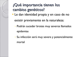 ¿Qué importancia tienen los cambios genéticos? Le dan identidad propia y en caso de no existir previamente en la naturaleza: Podrán suceder brotes muy severos llamados epidemias Su infección será muy severa y potencialmente mortal 