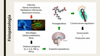 Fisiopatología
 