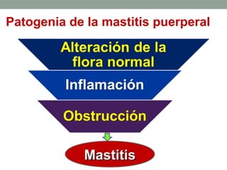 Patogenia de la mastitis puerperal
MastitisMastitis
 