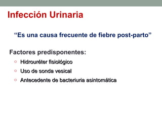 Infección Urinaria
“Es una causa frecuente de fiebre post-parto”
Factores predisponentes:
o Hidrouréter fisiológicoHidrouréter fisiológico
o Uso de sonda vesicalUso de sonda vesical
o Antecedente de bacteriuria asintomáticaAntecedente de bacteriuria asintomática
 