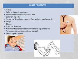 SIGNOS Y SINTOMAS
 Fiebre
 Dolor en las articulaciones
 Nódulos indoloros debajo de la piel
 Dolor en el pecho
 Sensación de pulso acelerado, fuertes latidos del corazón
 Fatiga
 Disnea
 Erupción dolorosa
 Movimientos corporales incontrolables espasmódicos
 Arranques de comportamiento inusual
 Hemorragias nasales.
 