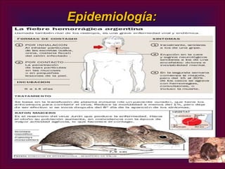 Epidemiología:
 