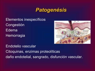Patogenésis
Elementos inespecíficos
Congestión
Edema
Hemorragia

Endotelio vascular
Citoquinas, enzimas proteolíticas
daño endotelial, sangrado, disfunción vascular.
 