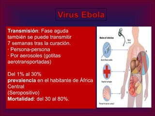 Transmisión: Fase aguda
también se puede transmitir
7 semanas tras la curación.
· Persona-persona
· Por aerosoles (gotitas
aerotransportadas)

Del 1% al 30%
prevalencia en el habitante de África
Central
(Seropositivo)
Mortalidad: del 30 al 80%.
 