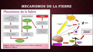 MECANISMOS DE LA FIEBRE
 